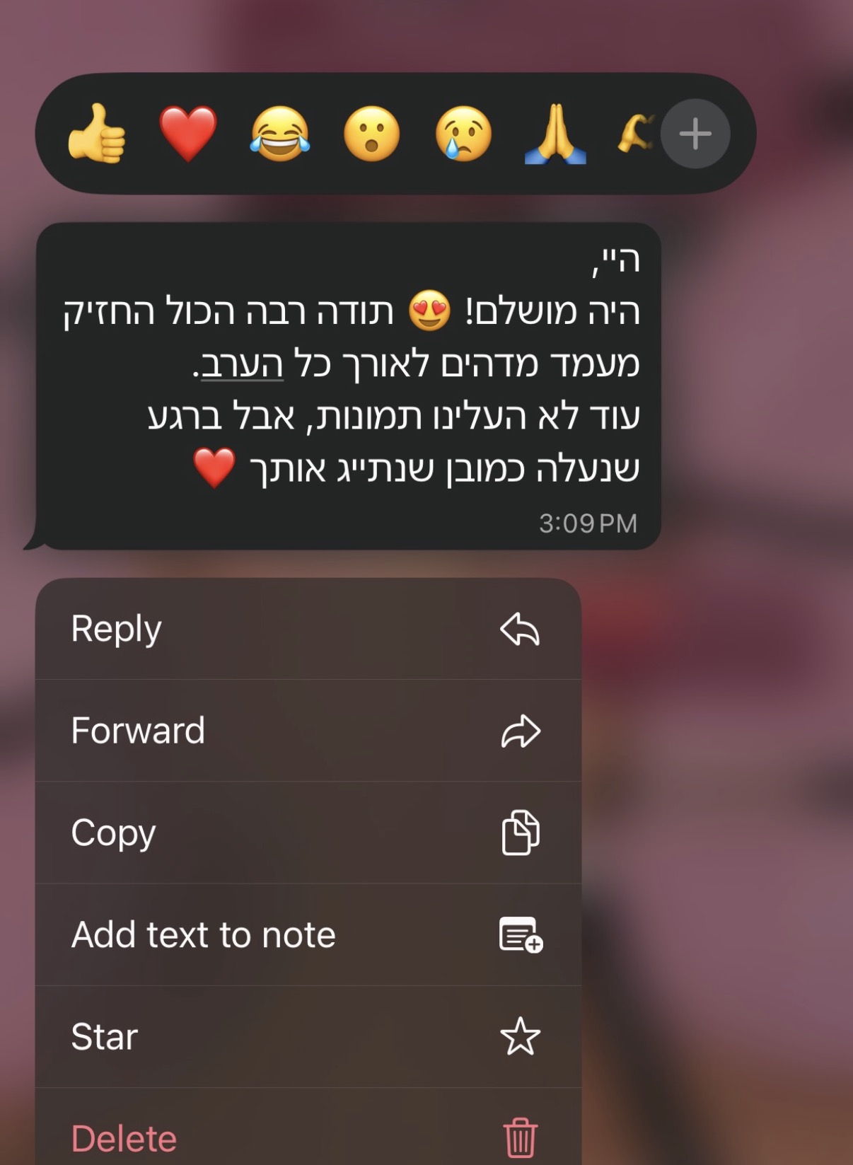 פרגון 4